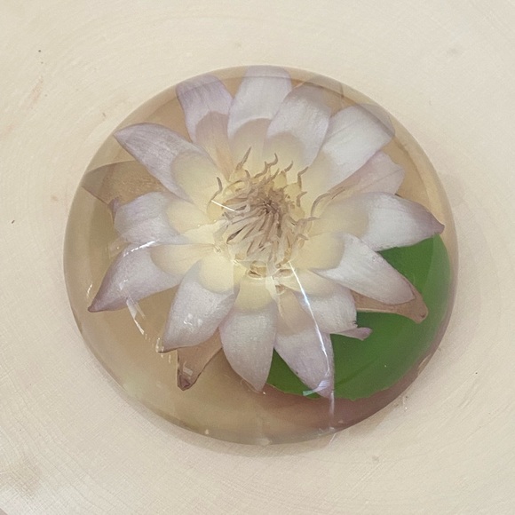 Vintage Lucite Dried Flower Domed Desk Paperweight Clear Plastic Acrylic Decor - Picture 11 of 14
